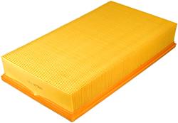 Fram Extra Guard Air Filters CA8071