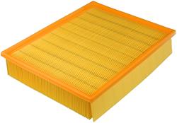 Fram Extra Guard Air Filters CA8095