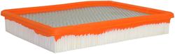 Fram Extra Guard Air Filters CA8754