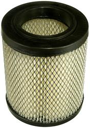 Fram Extra Guard Air Filters CA9493