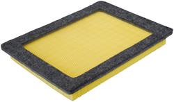 Fram Extra Guard Air Filters CA9687