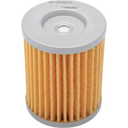 Fram Extra Guard Oil Filters CH6015