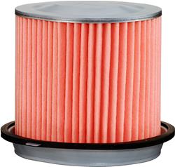 Fram Air Filter Elements DA6362