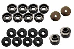 Fishbone Offroad Body Mount Bushings for 1999 F-250 - FB47234