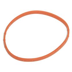 FAST Replacement Throttle Body Seals 146004