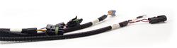 FAST XFI Main Wiring Harnesses 301100