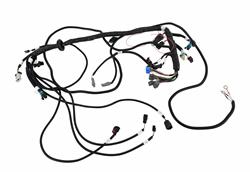 FAST XFI Main Wiring Harnesses 301104