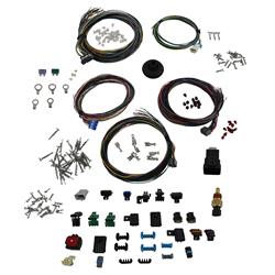 FAST XFI Main Wiring Harnesses 301105
