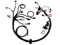 FAST Wiring Harness Adapters and Extensions 307041