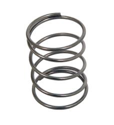 FASS Fuel Systems Fuel Pump Springs PS-1008