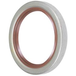 FAG Bearings Axle and General Purpose Seals SS3169