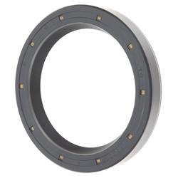 FAG USA Multi-Purpose Oil Seals for 1996-2004 RL, 1996-1998 TL - SS3813