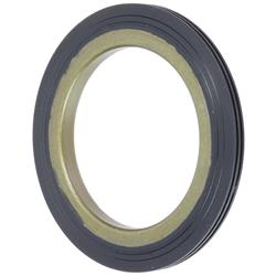 FAG Bearings Axle and General Purpose Seals SS3820