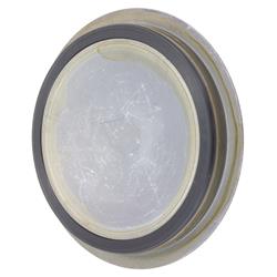 FAG Bearings Axle and General Purpose Seals SS4839