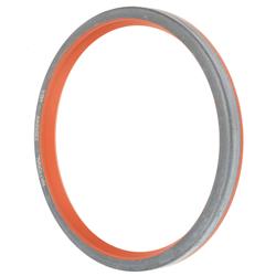 FAG Bearings Axle and General Purpose Seals SS5369