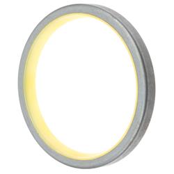 FAG Bearings Axle and General Purpose Seals SS5409