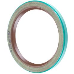 FAG Bearings Axle and General Purpose Seals SS6255