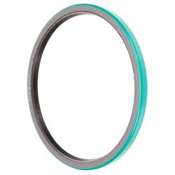 FAG Bearings Axle and General Purpose Seals SS6306