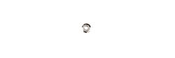 Gabriel Shock and Strut Components 141156