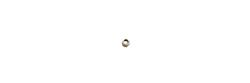 Gabriel Shock and Strut Components 141198