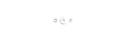 Gabriel Shock and Strut Components 142097