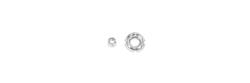 Gabriel Shock and Strut Components 142284