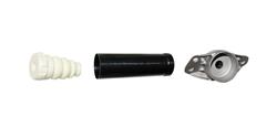 Gabriel Strut Mounts 143345