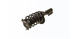 Gabriel Ultra ReadyMount Struts G57142