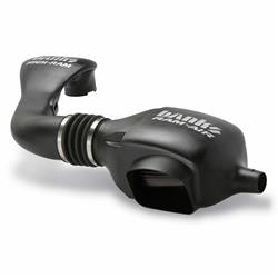 Banks Power Ram-Air Intake Systems for 2004-2008 F-150 - 41806-D