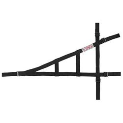 G-FORCE Sprint Car Window Nets