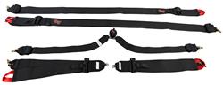 G-FORCE Pro Series Camlock  6-Point Harness 7620BK