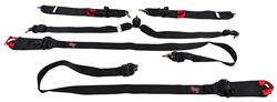 G-FORCE Pro Series Camlock  6-Point Harness 7622BK