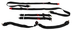 G-FORCE 2 Endurance FIA  6-Point Harness 7624BK