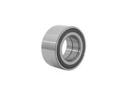 GSP North America Co Inc. - Wheel Bearings for 2018-2021 ECOSPORT - 110014B