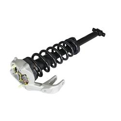 GSP Loaded Strut Assemblies for 2003-2007 CTS - 810003