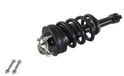 GSP Loaded Strut Assemblies 810044