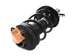 GSP Loaded Strut Assemblies for 2013-2016 DART - 810092