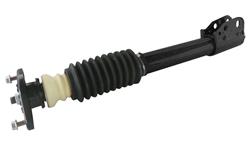 GSP Loaded Strut Assemblies 810115