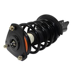 GSP Loaded Strut Assemblies 810222