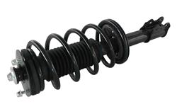 GSP Loaded Strut Assemblies 810310