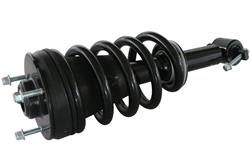 GSP Loaded Strut Assemblies 810341