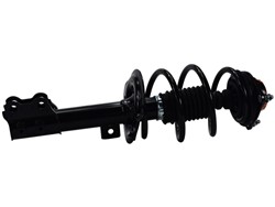 GSP Loaded Strut Assemblies for 2011 SONATA - 810417