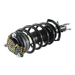GSP Loaded Strut Assemblies 811119