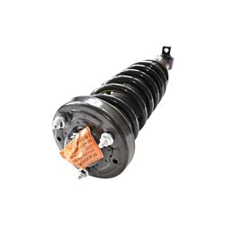 GSP Loaded Strut Assemblies for 2014 F-150 - 811371