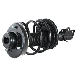 GSP Loaded Strut Assemblies 812319