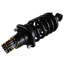 GSP Loaded Strut Assemblies for 2003-2011 ELEMENT - 836336