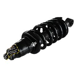 GSP Loaded Strut Assemblies for 2003-2011 ELEMENT - 836337