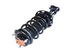 GSP Loaded Strut Assemblies for 2009-2015 PILOT - 836382