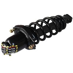 GSP Loaded Strut Assemblies for 2005-2010 TC - 869216