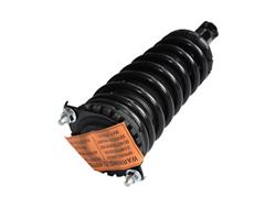 GSP Loaded Strut Assemblies for 2000-2004 LEGACY - 882538